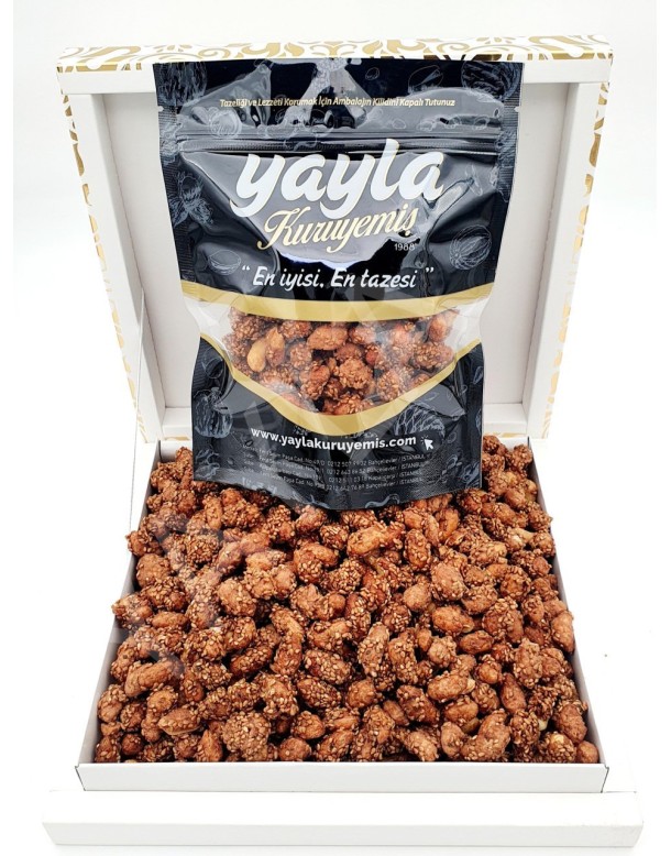 Kuruyemiş Sarayı